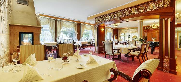 贝尔维尤莱恩酒店(Bellevue Rheinhotel)图片