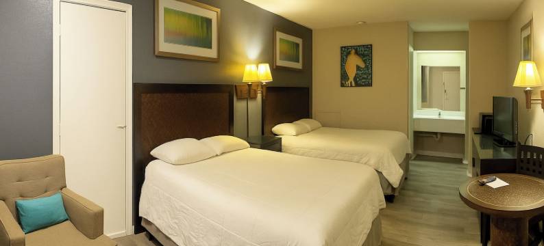 科特兰德汽车旅馆(Courtland Inn Motel)图片