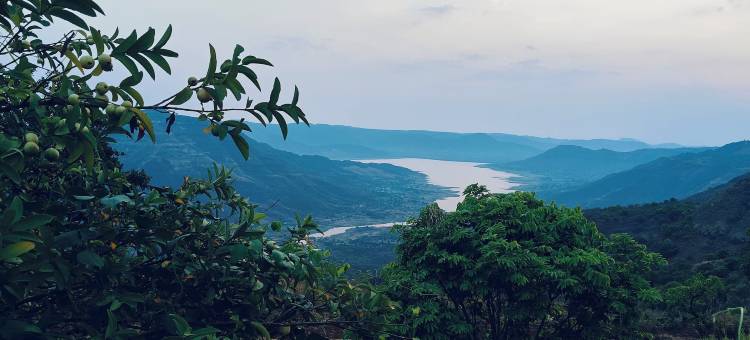 尤瓦亚特里露营地(Yuva Yatri Campsite)图片