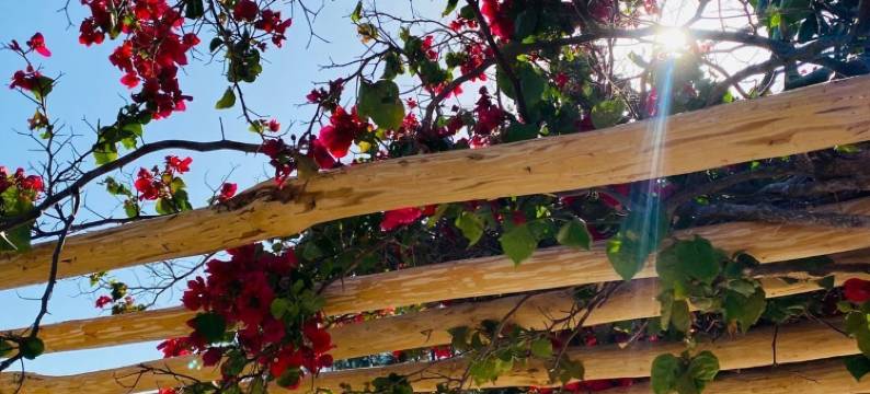 腰果酒旅馆(POUSADA LICOR DE CAJU)图片