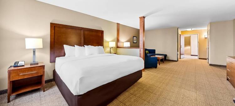 西医学中心舒适套房酒店(Comfort Inn & Suites West - Medical Center)图片