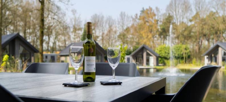 布拉班特的小房子，带舒适露台(Tiny House in Brabant with Cozy Terrace)图片