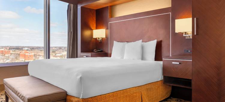 南菲尔德底特律瑞迪森酒店(Radisson Hotel Southfield-Detroit)图片