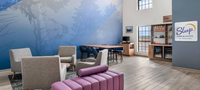 斯尔西大学附近的舒眠酒店及套房(Sleep Inn & Suites Searcy Near University)图片