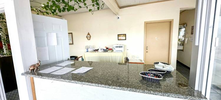 OYO 仙女座国王旅馆 马克德树 I-555(Shamrock Kings Inn By Oyo Marked Tree I-555)图片