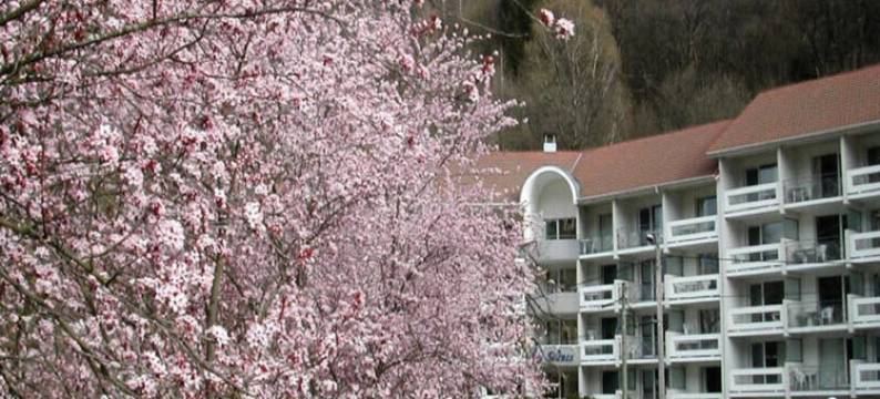 Apartment in Allevard near Thermal Baths图片