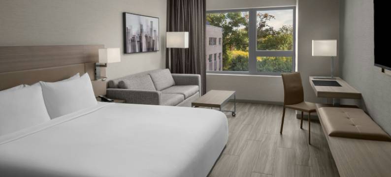 AC万豪波士顿剑桥酒店(AC Hotel by Marriott Boston Cambridge)图片