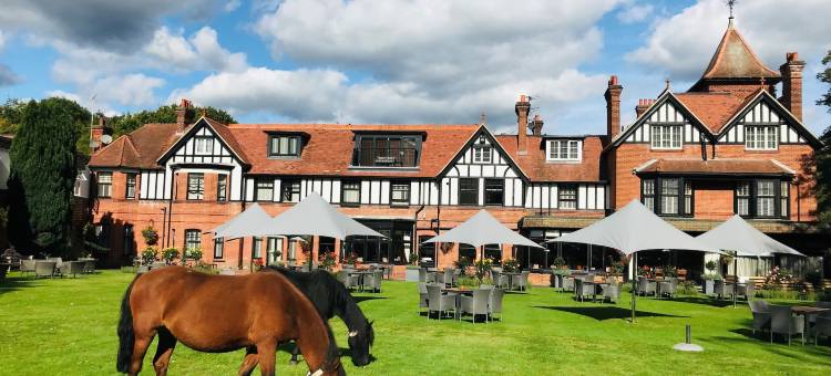 新森林布罗肯赫斯特森林公园乡村酒店(Forest Park Country Hotel & Inn, Brockenhurst, New Forest, Hampshire)图片