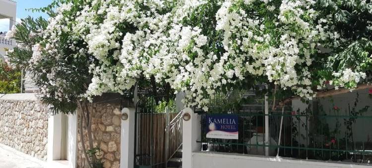 卡梅利亚酒店(Kamelia Hotel)图片