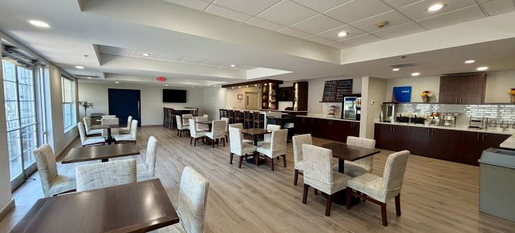 舒适套房酒店(Comfort Inn & Suites Sturbridge-Brimfield)图片