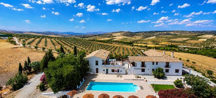 安帕罗旅馆(Lemon Tree Retreat at El Amparo)图片
