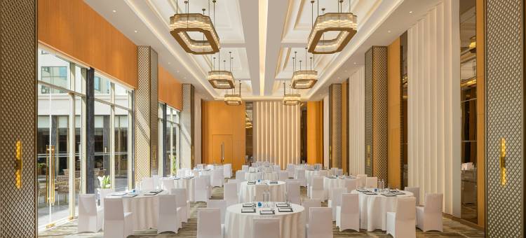 班加罗尔机场希尔顿逸林(DoubleTree By Hilton Bengaluru Airport)图片