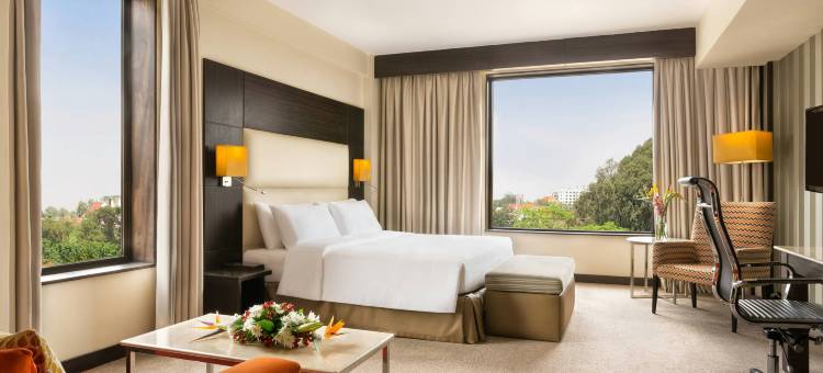 内罗毕赫林汉姆福朋喜来登酒店(Four Points by Sheraton Nairobi Hurlingham)图片