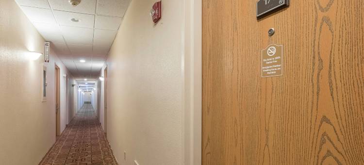 芒特荷里红顶套房酒店-麦圭尔空军基地(Red Roof Inn & Suites Mt Holly - McGuire AFB)图片