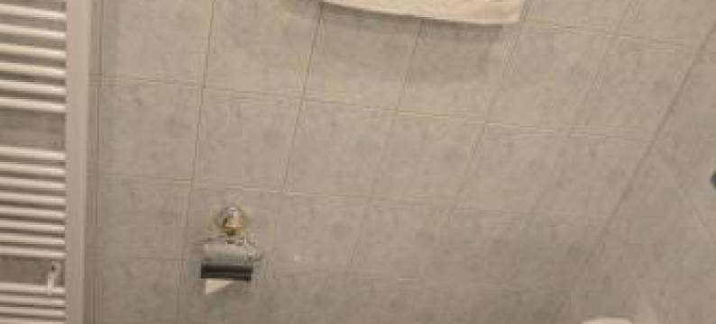 阿尔法塔西公寓(Apartment-Alpenfantasie)图片