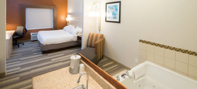 智选假日套房酒店大布兰克(Holiday Inn Express & Suites GRAND BLANC by IHG)图片