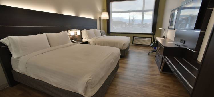 渥太华加蒂诺智选假日套房酒店(Holiday Inn Express & Suites Gatineau - Ottawa)图片