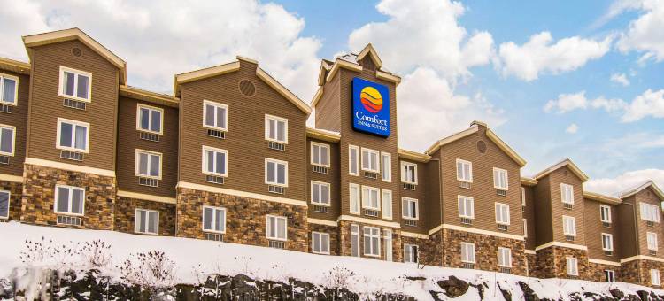 圣杰罗姆舒适酒店(Comfort Inn & Suites)图片