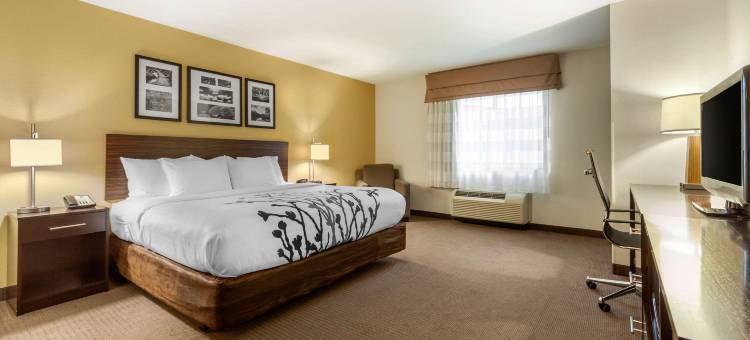 舒眠套房酒店-医学中心(Sleep Inn & Suites Fargo Medical Center)图片