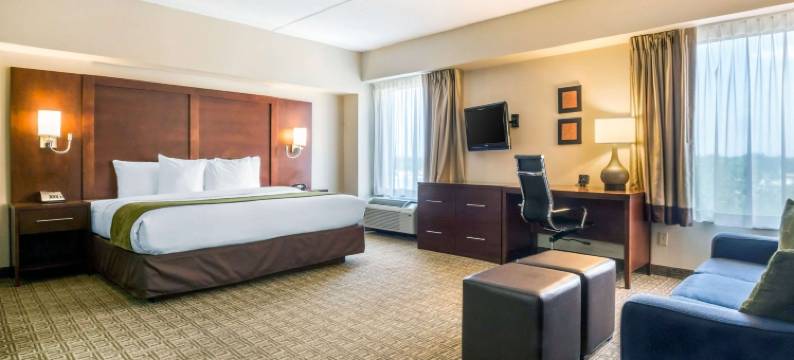 伍德布里奇舒适套房(Comfort Suites at Woodbridge)图片