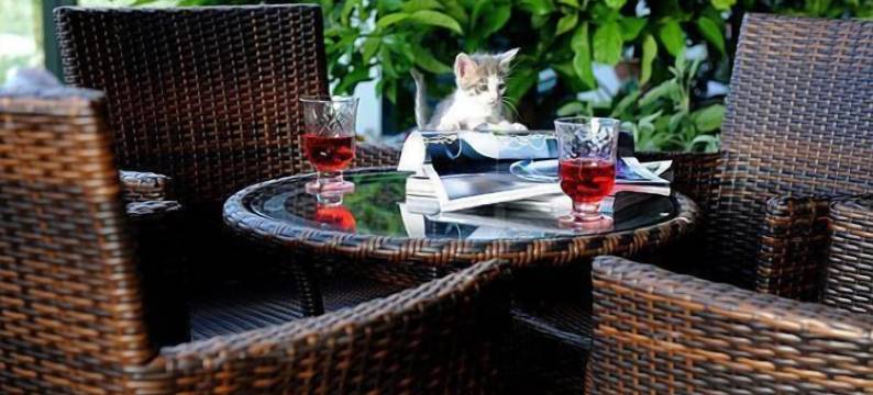 瓦伦蒂娜花园旅馆(Il Giardino di Valentina)图片