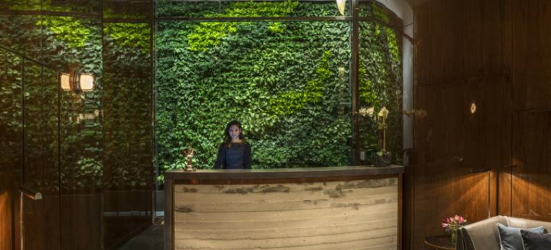 雨果酒店(Hotel Hugo SoHo)图片