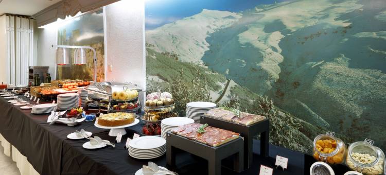 艾克塞特里安佛酒店(Exe Triunfo Granada)图片