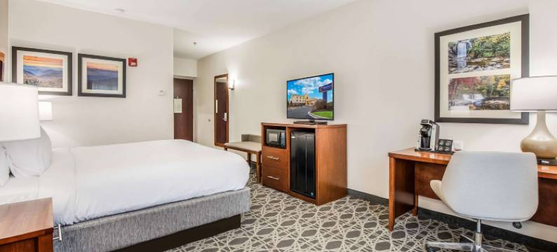 舒适套房酒店(Comfort Inn & Suites)图片