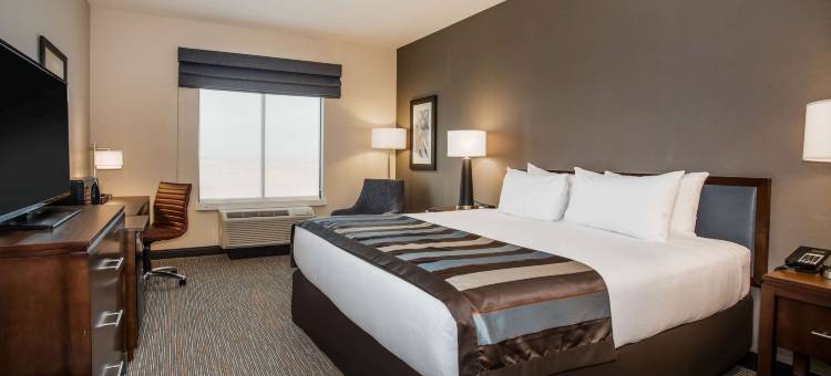 丹佛机场蔚景温德姆酒店(Wingate by Wyndham Denver Airport)图片