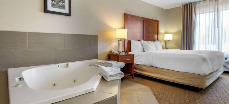 布莱克里弗福尔斯I-94舒适套房酒店(Comfort Inn & Suites Black River Falls I-94)图片