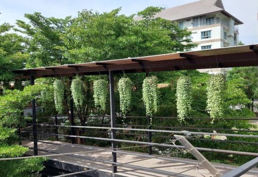 J Park HotelHotel Overview