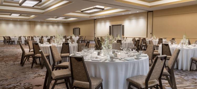 泰森斯角威斯汀酒店(The Westin Tysons Corner)图片