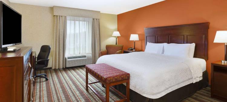 底特律绍斯盖特欢朋酒店(Hampton Inn Detroit/Southgate)图片