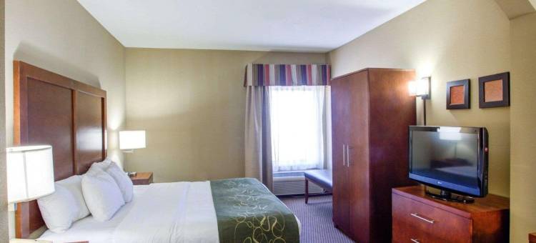 克罗斯维尔舒适套房酒店(Comfort Suites)图片