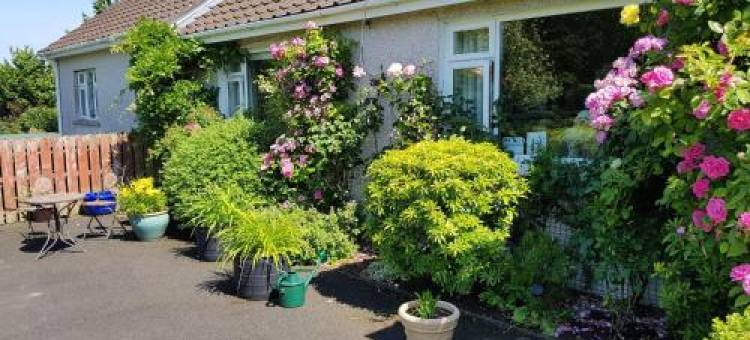 Meadow View B&B图片