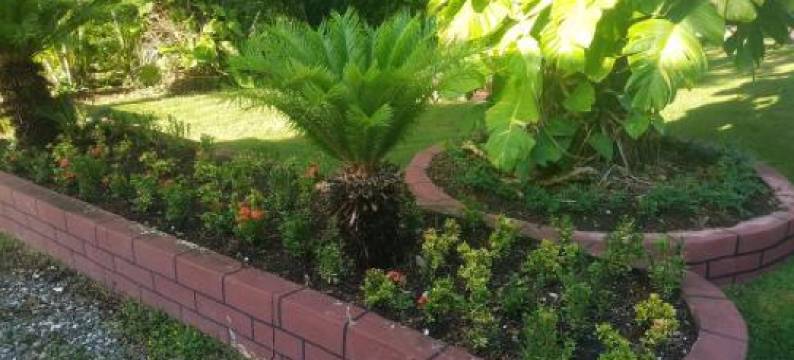 Los Palmares Guest House & Eventos图片