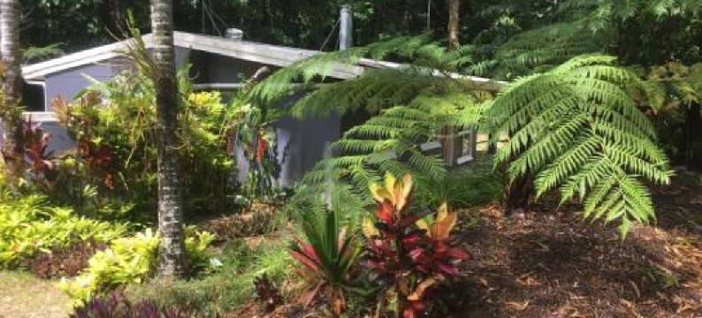 霍尼贝度假屋(Honeybee House)图片