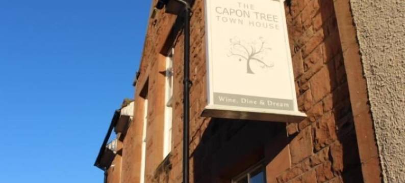 卡邦树镇之家旅馆(The Capon Tree Town House)图片