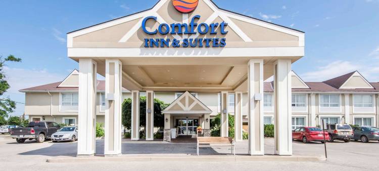 舒适套房酒店(Comfort Inn & Suites)图片