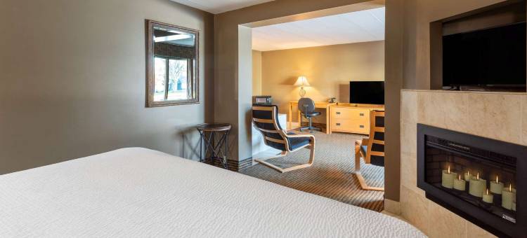 柏奇伦戴斯酒店(Days Inn Birch Run)图片