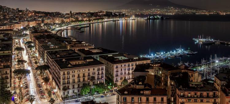Holiday Inn 那不勒斯假日酒店(Holiday Inn Naples)图片