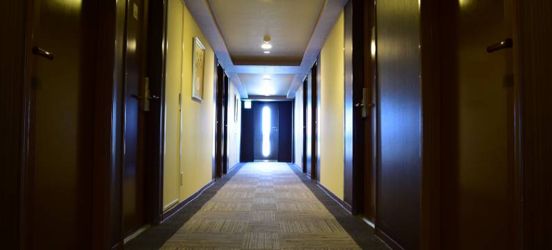 露樱酒店 丰田阵中店(HOTEL ROUTE-INN TOYOTAJINNAKA)图片