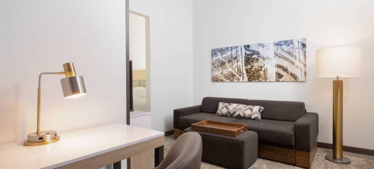 威廉斯堡万豪SpringHill酒店(SpringHill Suites Williamsburg)图片