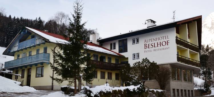 贝斯霍夫阿尔卑斯山酒店(Alpenhotel Beslhof)图片