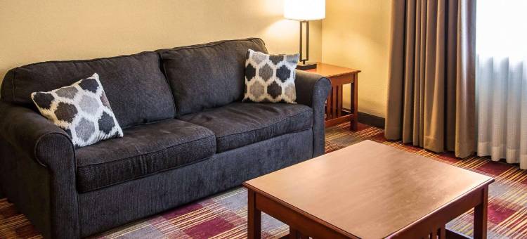 萨凡纳中城舒眠酒店(Sleep Inn Savannah Midtown)图片