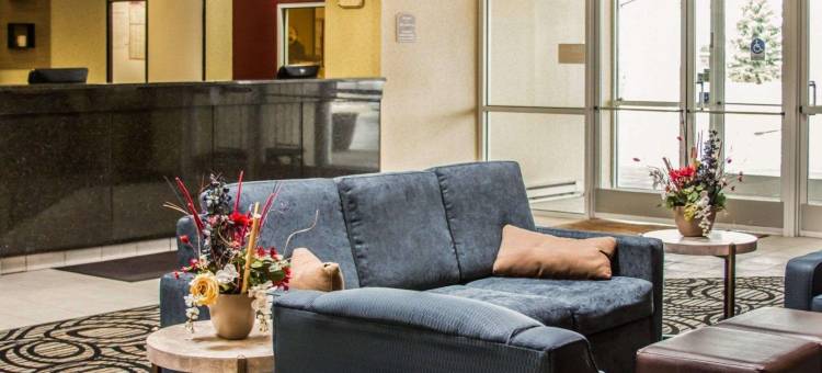 布尔什瑞昂舒适酒店(Comfort Inn)图片