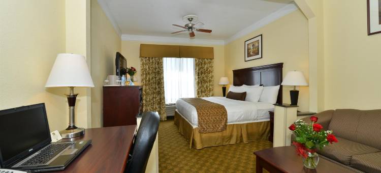 孤星贝斯特韦斯特酒店(Best Western Lone Star Inn)图片