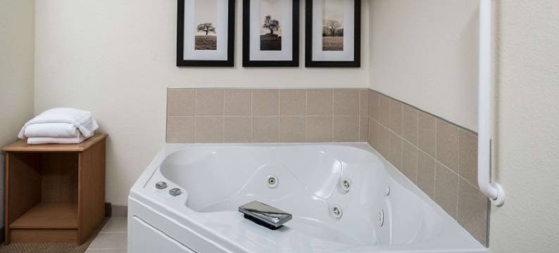 贝尔富什美吟温德姆酒店(AmericInn by Wyndham Belle Fourche)图片