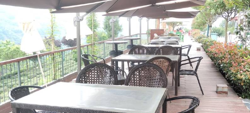 半亩茶园民宿(紫燎路分店)图片