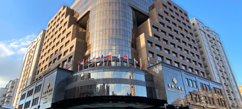 桃园尊爵大饭店图片